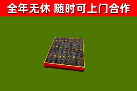 元谋回收海参